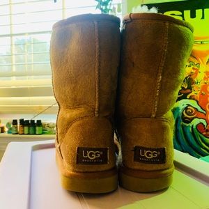 Brown Uggs